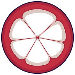 mangosteen half cut top view vector drawing.