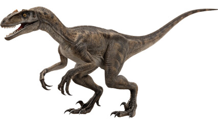 Fototapeta premium Velociraptor isolated on transparent PNG background