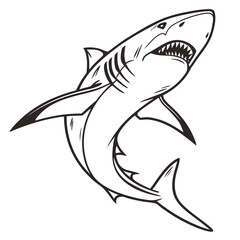 Obraz premium shark vector illustration
