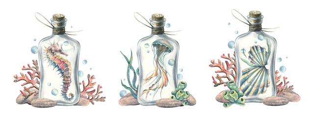 Clip art of bottles, seahorse, jellyfish, shells and corals in marine style, hand drawn watercolor illustrations for digital design, invitations, crafts, scrapbooking and nautical decorations.