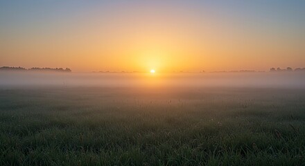 Misty Sunrise over a Grassy Field