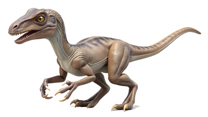 Fototapeta premium Velociraptor isolated on transparent PNG background