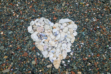 Heart made from sea shells on a pebble beach