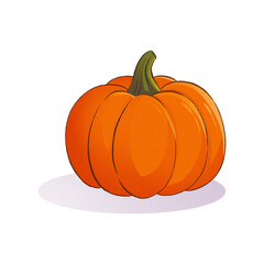 Pumpkin. Bright orange pumpkin for autumn decoration