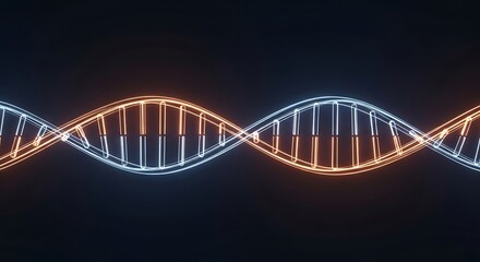 Understanding the Double Helix Structure of DNA