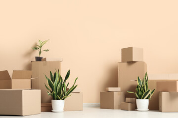 Houseplants and cardboard boxes near beige wall. Moving house concept