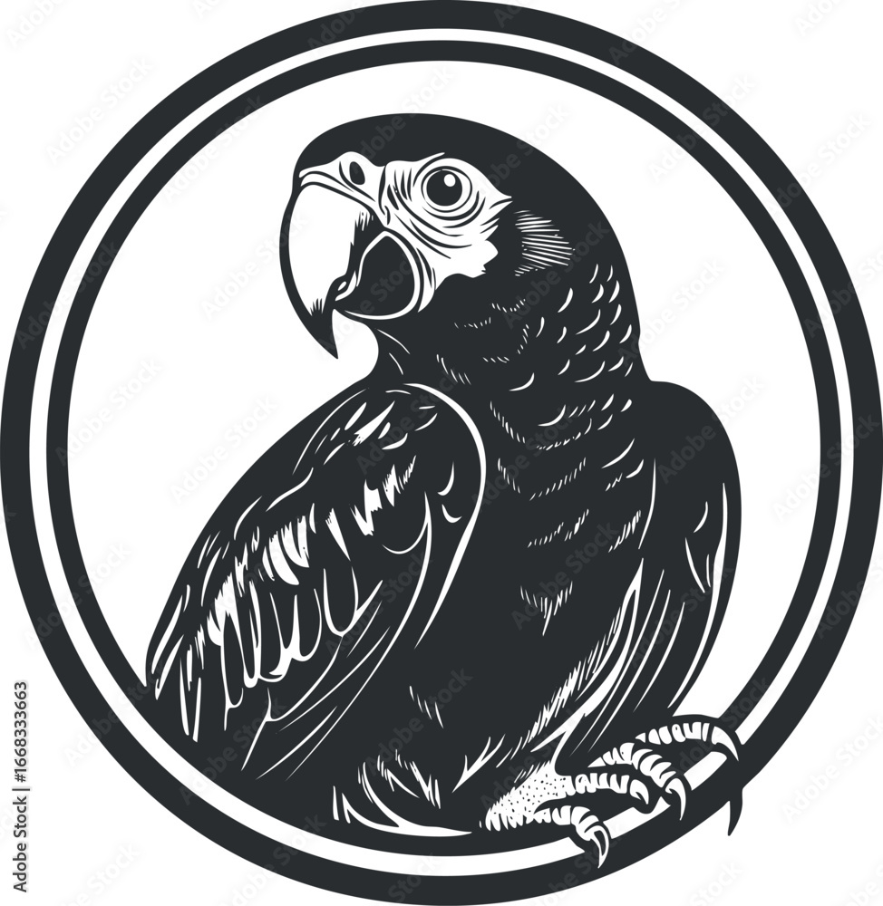 Poster black and white vector illustration of a parrot in profile inside a circular frame with detailed fea