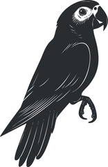 Black and white illustration of a parrot perched showing detailed feathers and beak profile