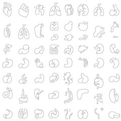 A grid of various anatomical icons 