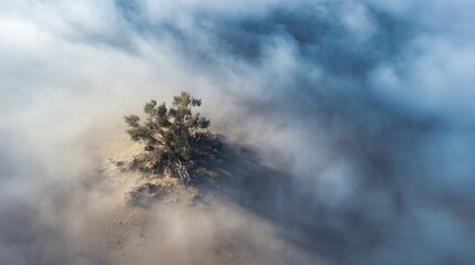 Obraz premium Isolated tree atop a small hill, shrouded in a thick layer of mist. Aerial perspective of a serene, hazy landscape