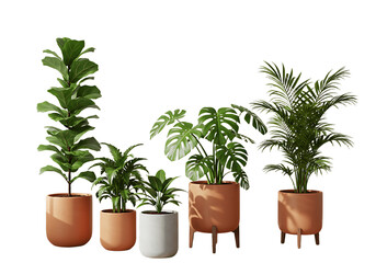 Fototapeta premium Modern indoor potted plants collection, tropical houseplant set in terracotta pots, 5 realistic green plants isolated on white background