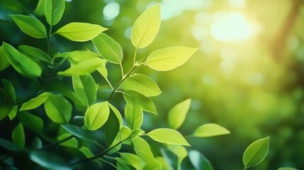 Naklejka premium Nature of green leaf. environment ecology greenery wallpaper