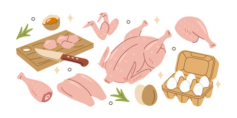 Fresh raw chicken meat and eggs set. Breasts filet, drumsticks, thighs, wings and other poultry carcass parts and products. Grocery market concept. Vector illustration.