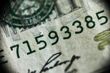 Dollar bill stands in close-up with serial numbers 71593385 clearly visible, highlighting its fine details and security features. Sharp macro photography captures crisp texture and intricate