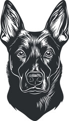 Obraz premium Black and white vector illustration of a dog's head with alert expression and upright ears
