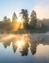 Fototapeta premium A serene sunrise over a tranquil lake, bathed in golden light, casting ethereal reflections on the still water.