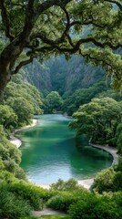 Hidden Lake Surrounded by Lush Green Jungle