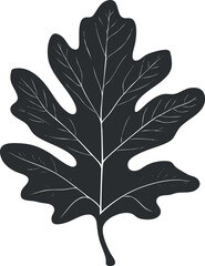 Obraz premium Black silhouette of an oak leaf isolated on white background showing detailed veins and lobed edges