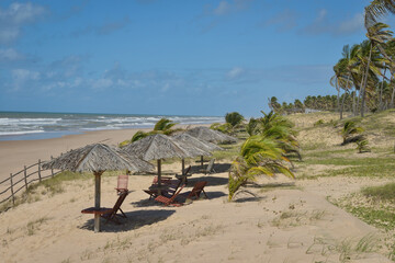 Praia com coqueiros e ondas.