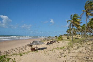 Praia com coqueiros e ondas