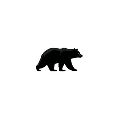 black bear isolated on white
