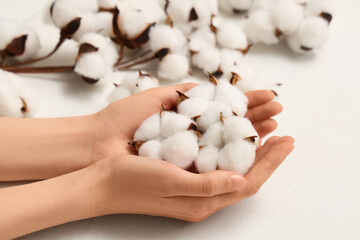 Female hands with cotton flowers on white grunge background, closeup