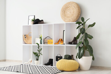 Shelf unit with women's shoes, accessories and plants in hallway