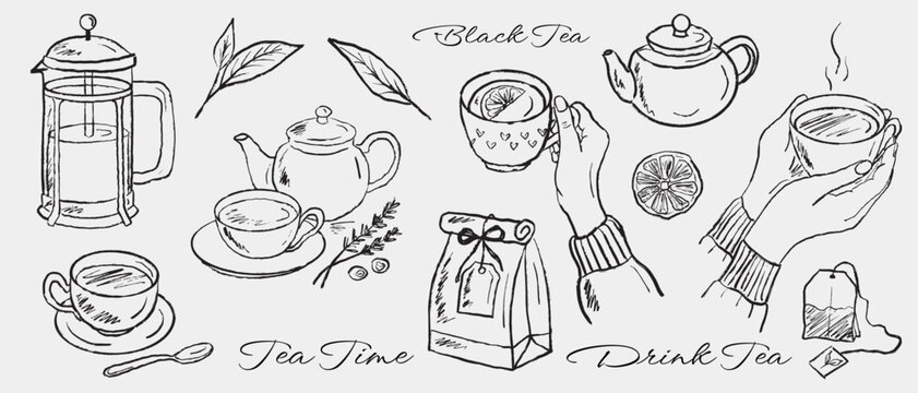 Tea cups, tea, kettle, french press, hand holding cup of tea in brush stroke texture isolated on white. Hand drawn vector sketch illustration in vintage charcoal ink. Decoration, cafe design, kitchen