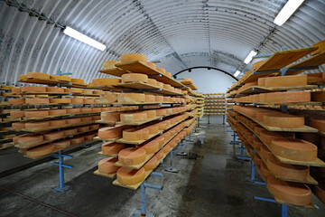 The Leelanau Cheese Store in Suttons Bay, MI, has it's own cheese cellar, like a wine cellar.  They make their own cheese.  2,000 wheels of cheese ageing.