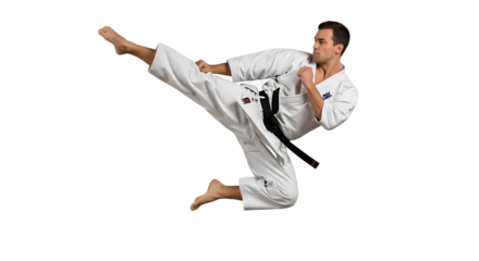 Karate Performing Art
