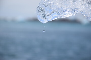 Melting ice cube with water droplet in focus