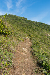 View from the hiking path to Lagoinha do Leste beach via Matadeiro. Cliffs, forest and atlantic ocean. Florianopolis, Brazil