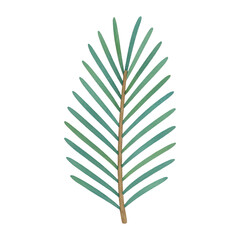 Fototapeta premium PNG Minimalist palm leaf illustration