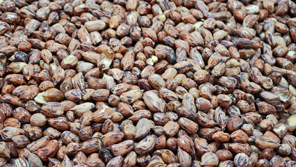 Roasted peanuts in a tray