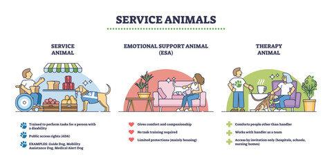 Obraz premium Service animals overview shows service animal, emotional support animal, and therapy animal with icons and brief roles. Outline diagram