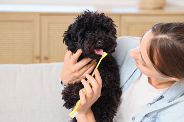 Young woman with toothbrush and Toy Poodle dog at home, closeup