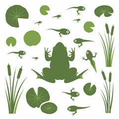 Naklejka premium A set of vector elements of frogs, tadpoles, aquatic plants.