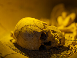 ancient skeleton from Roman burial site