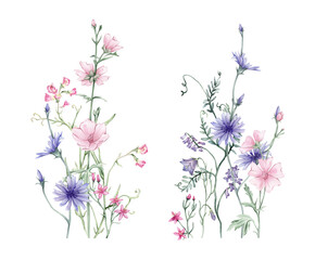 Watercolor floral composition illustration - wildflowers bouquet set. Summer meadow bluebell and pink flowers, chicory . Greetings, wallpapers, background texture, wrapping. Hand drawn illustration.