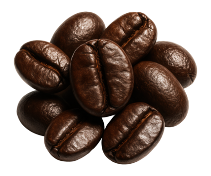 Whole coffee beans, dark roast, oily surface