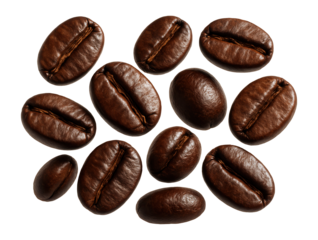 Whole coffee beans, rainforest alliance certified, eco-friendly