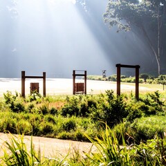Fototapeta premium Morning Sunbeams Piercing Through Forest Foliage onto a Secluded Wooden Bench and Small Rest Shelter 
