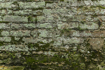 Old Brick Wall with Moss