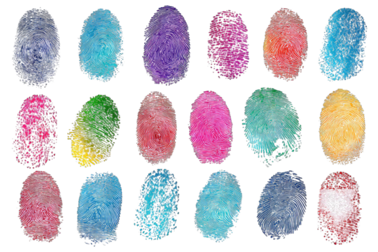 Colorful, textured, oval-shaped items arranged in a grid