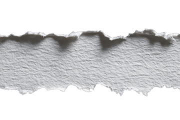 Torn strip of white paper (1)