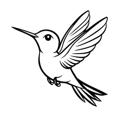 Fototapeta premium Elegant Hummingbird Doodle Design for Creative Projects and Illustrations