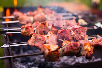Juicy cuts of meat are grilled on grill. Outdoor recreation concept