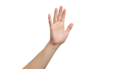 Hand Raising Up Isolated on Transparent Background Gesture Concept