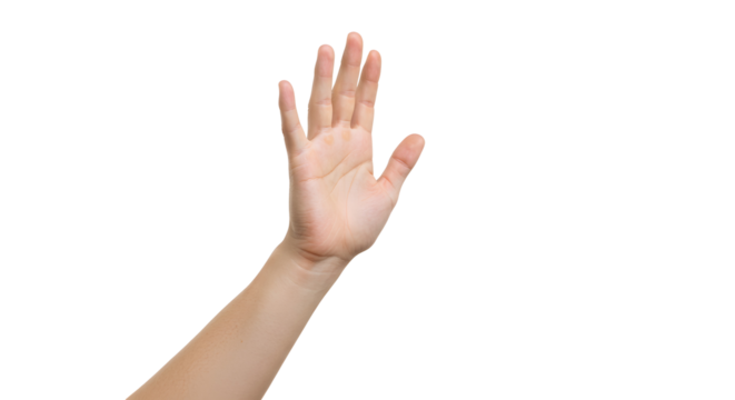Hand Raising Up Isolated on Transparent Background Gesture Concept