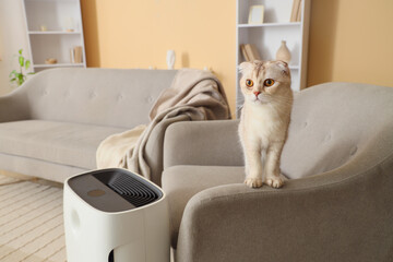 Cute Scottish Fold cat in armchair with air purifier at home